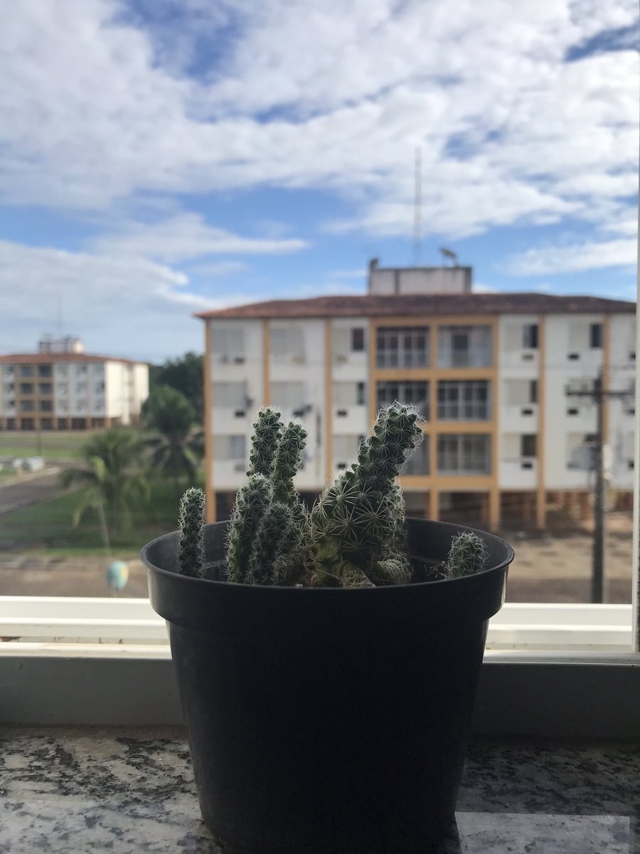 ms_farias's tweet photo. 🌵 https://t.co/xjBytCheva
