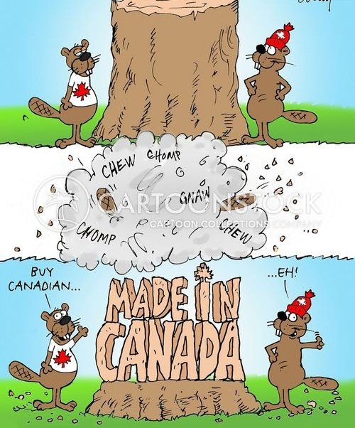 Jen (ESC) 🇨🇦❤️🦋 tweet media