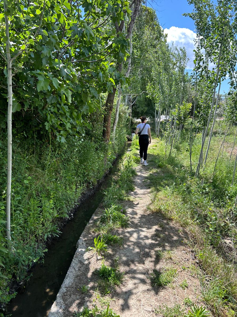 Estas son de María Teresa, una vecina de la Casería de Santo Domingo, que no tiene X y nos ha pedido que compartamos estas #fotosdedicadas de hoy en el sendero de la #AcequiaDelAlbaricoque #VegaDeGranada
😍🌿☘️🍃🍀👇