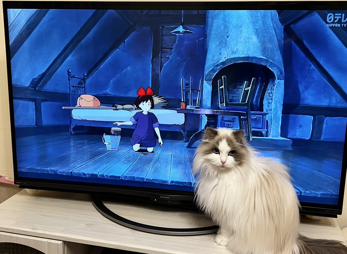 魔女宅はじまた🐈‍⬛