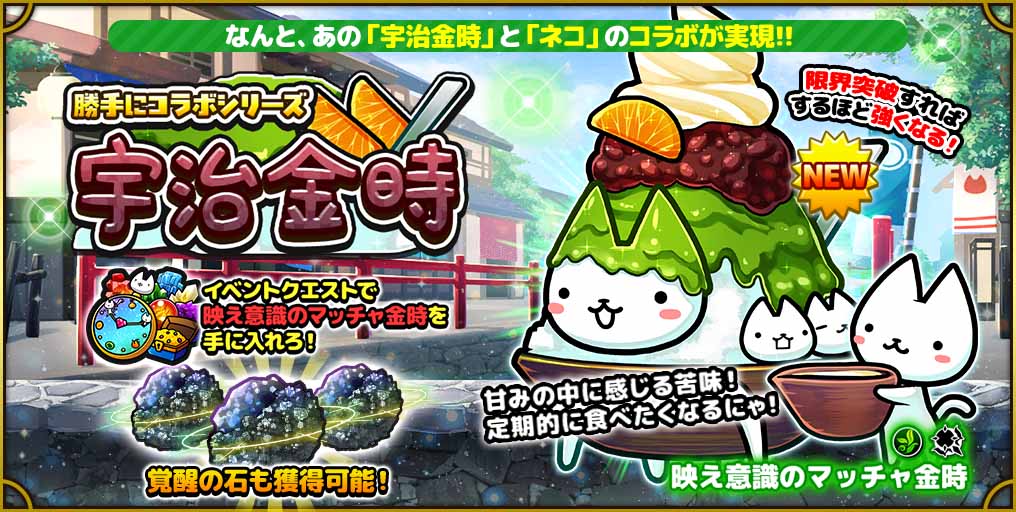 ぼくとネコ★公式 tweet media