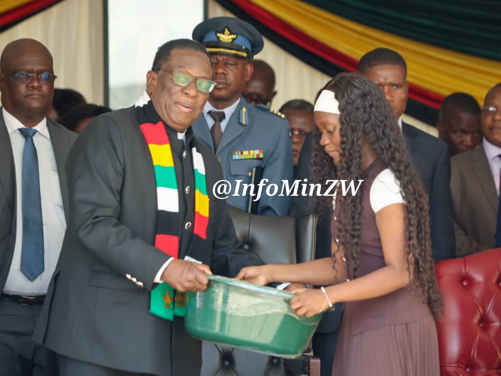 Nick Mangwana tweet media