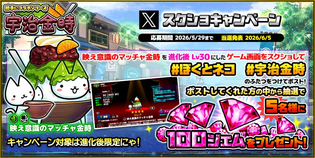 ぼくとネコ★公式 tweet media