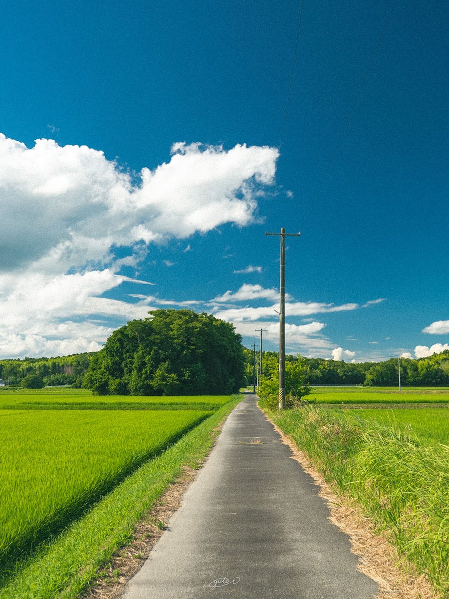 YutoPhotography's tweet photo. 三重県で撮った日本の原風景 https://t.co/2brufh13gT