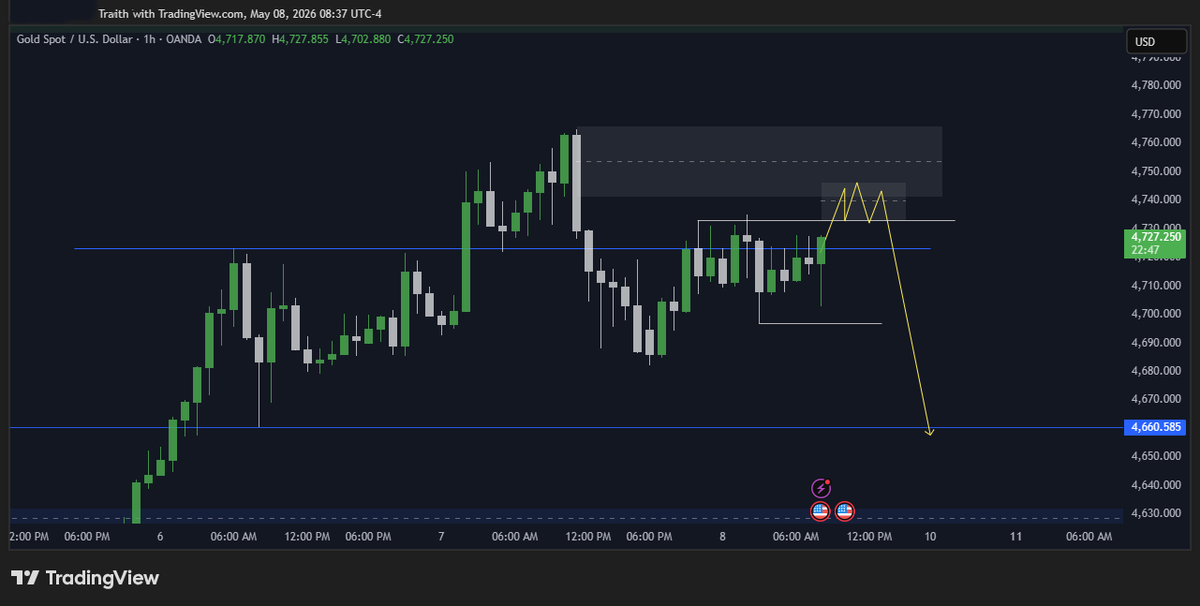 TRADER 804 tweet media