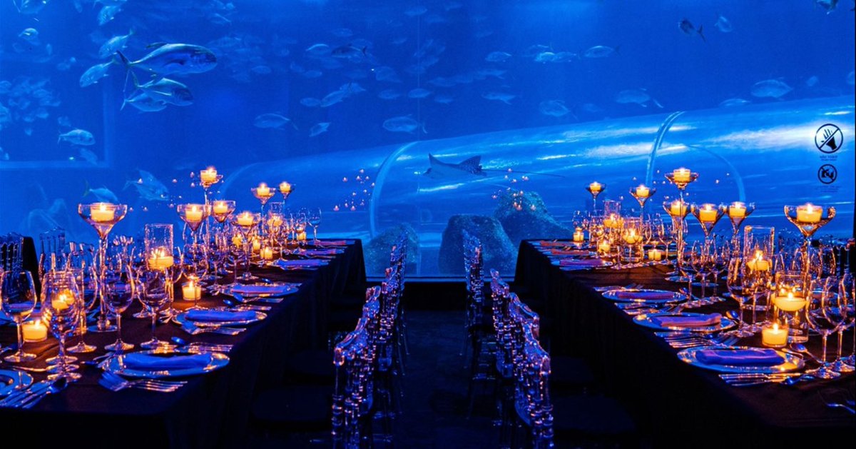 passagensaereas's tweet photo. Jantar no fundo do mar?

AquaRio terá experiência gastronômica com open bar e vista para os peixes

https://t.co/eZRN0koGMS https://t.co/PHyDSg9vCZ