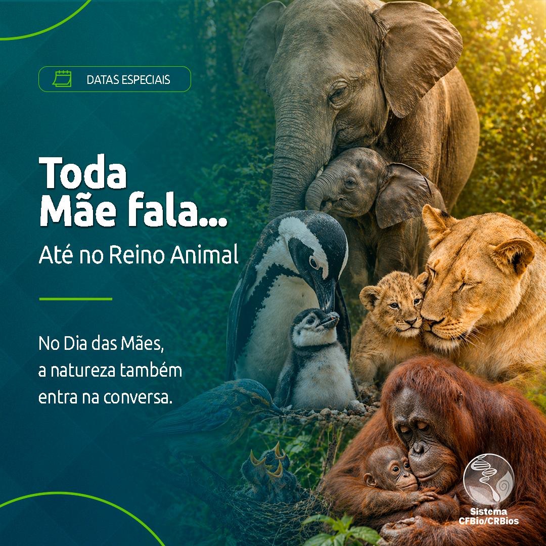 CFBio's tweet photo. Cuidar , ensinar, proteger e acompanhar: na natureza e na vida, o papel das mães atravessa espécies e gerações. 💚🐾

Neste Dia das Mães, celebramos todas aquelas que transformam dedicação em presença e afeto em aprendizado diário. 🌷

Feliz Dia das Mães! ✨

#DiaDasMães #CFBio #Biologia #ReinoAnimal #Maternidade #Natureza 💚