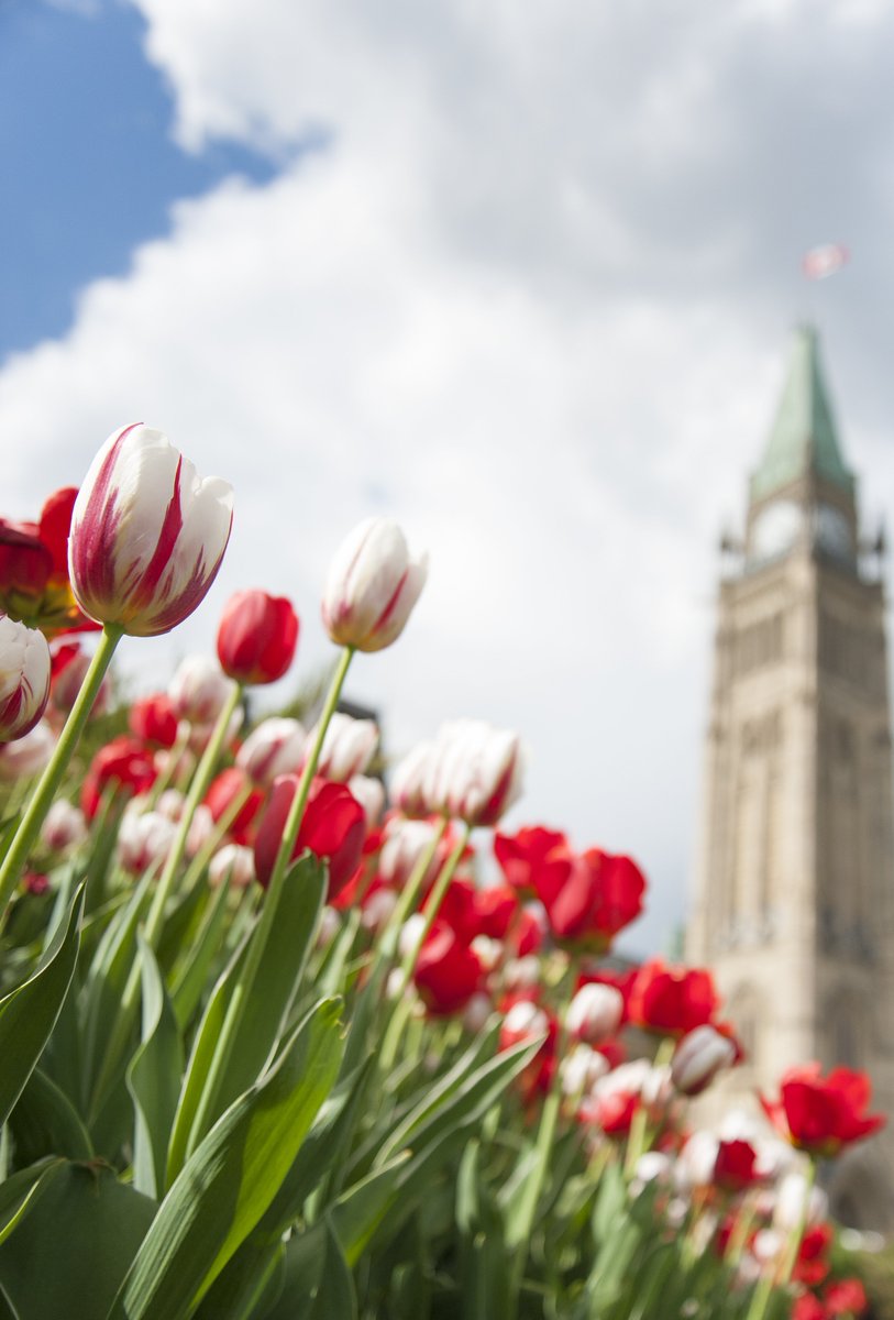 Canada tweet media