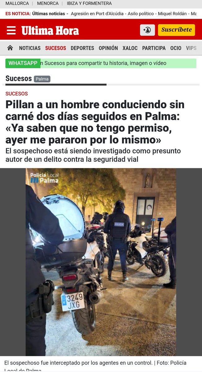 Mallorcrazy tweet media