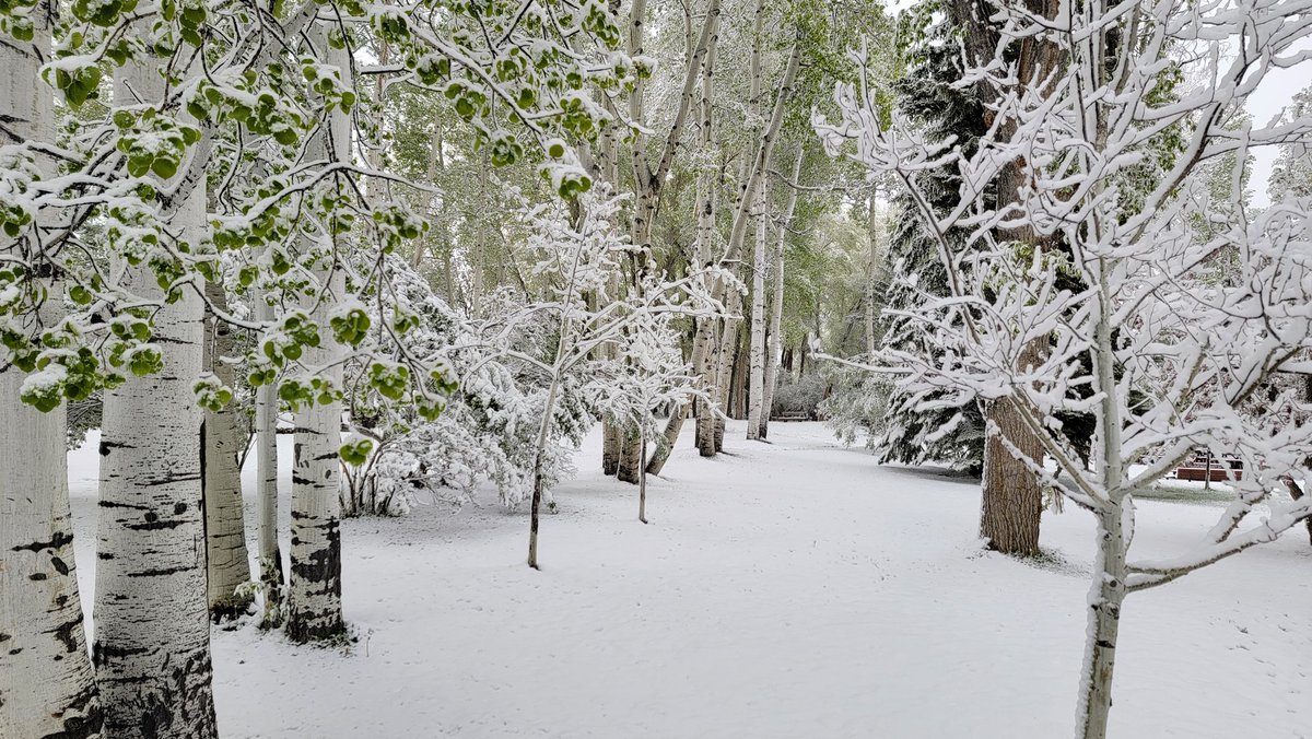 BarryRevzin's tweet photo. This week was my second time at CppNow, and it was wonderful. Beautiful environment, great people. This year I got to give the opening keynote and I thought it went pretty well too!

Also got to experience all of the weather. These pictures were taken on the same day. https://t.co/LMrkT3Pvjq