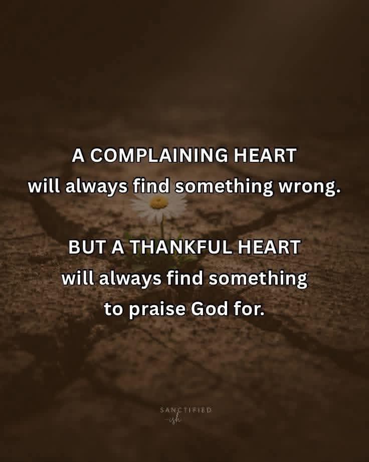 J.C. Ryle tweet media