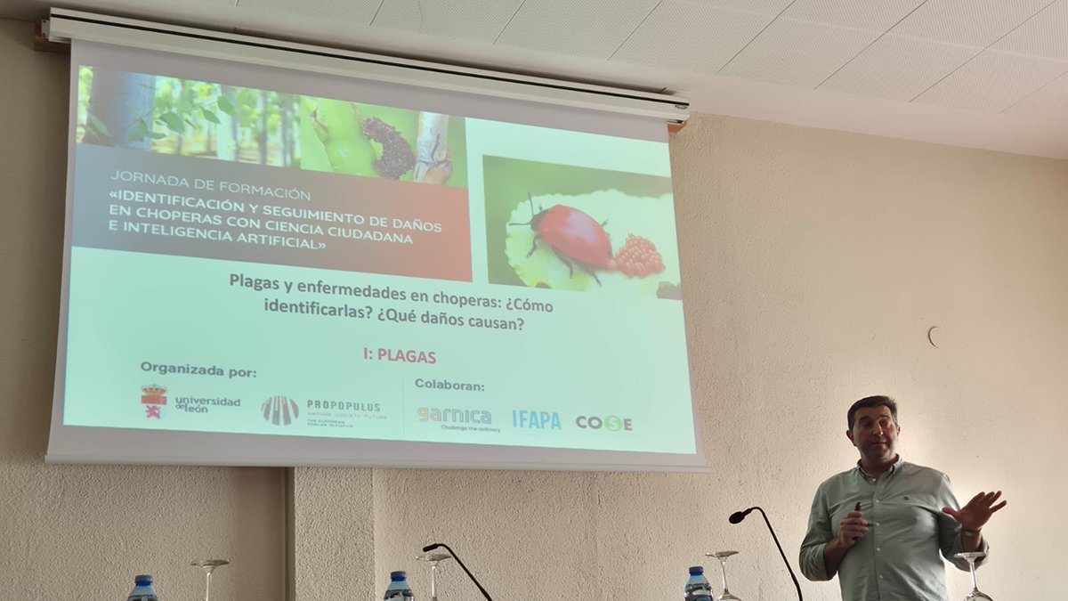 Propopulus_eu's tweet photo. 🌳 Éxito de la jornada celebrada en Granada sobre seguimiento sanitario de choperas con IA y ciencia ciudadana.

Los participantes destacaron el interés práctico de AppPopuli+, la herramienta desarrollada por la Universidad de León para identificar plagas y daños en choperas. https://t.co/FwKCJyWw4L