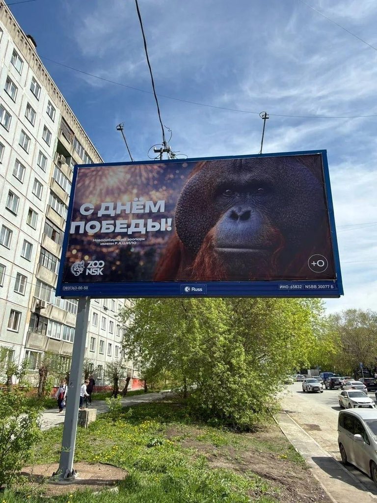 Дождь tweet media