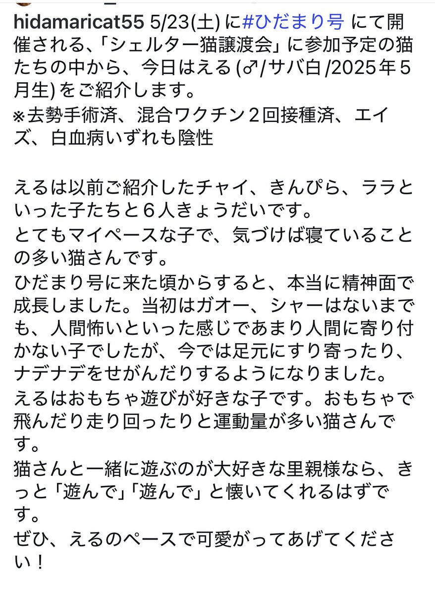 hidamarigou's tweet photo. える https://t.co/8OfeSdUnBx