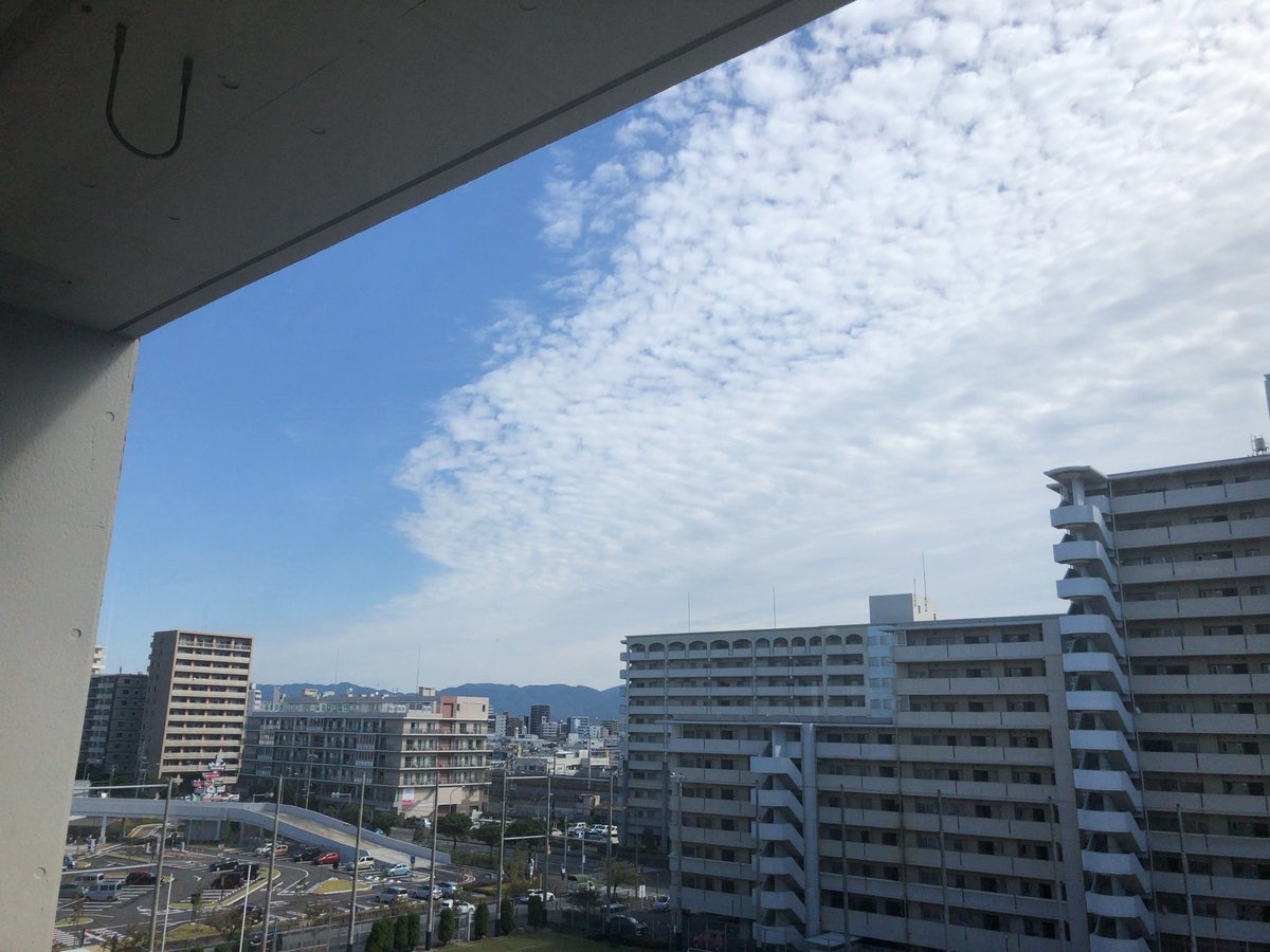 もち・もち子☔️ tweet media