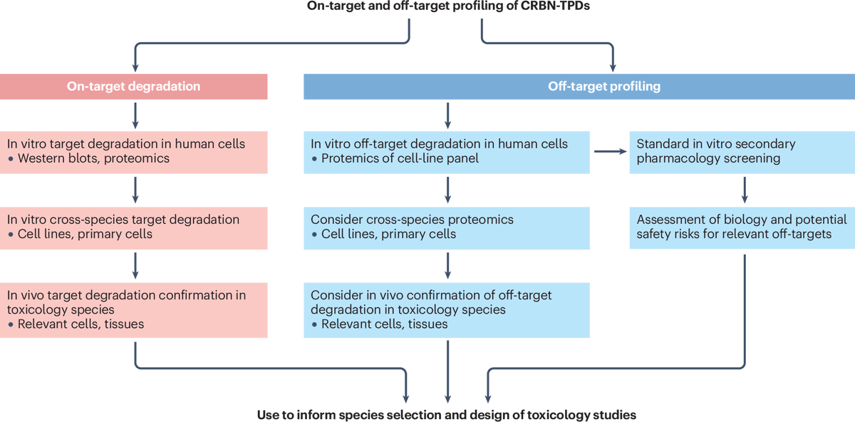 NatRevDrugDisc's tweet photo. For readers interested in targeted protein degradation, this Perspective discusses safety considerations for PROTACs and molecular glues that recruit the E3 ligase cereblon to achieve degradation of their target
https://t.co/BRgXcoYMK4
https://t.co/Uq7tp5FgeH https://t.co/hGFdcYDg3f