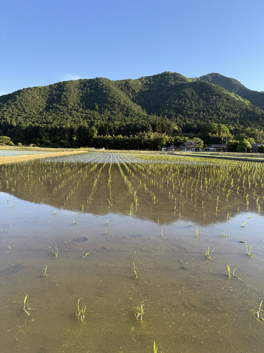 これもまた気持ち良。