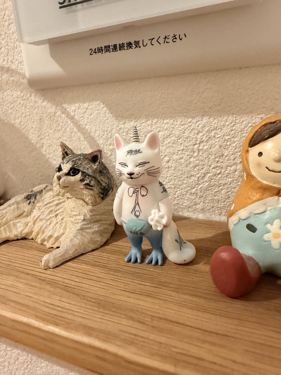 たにゃんこ tweet media