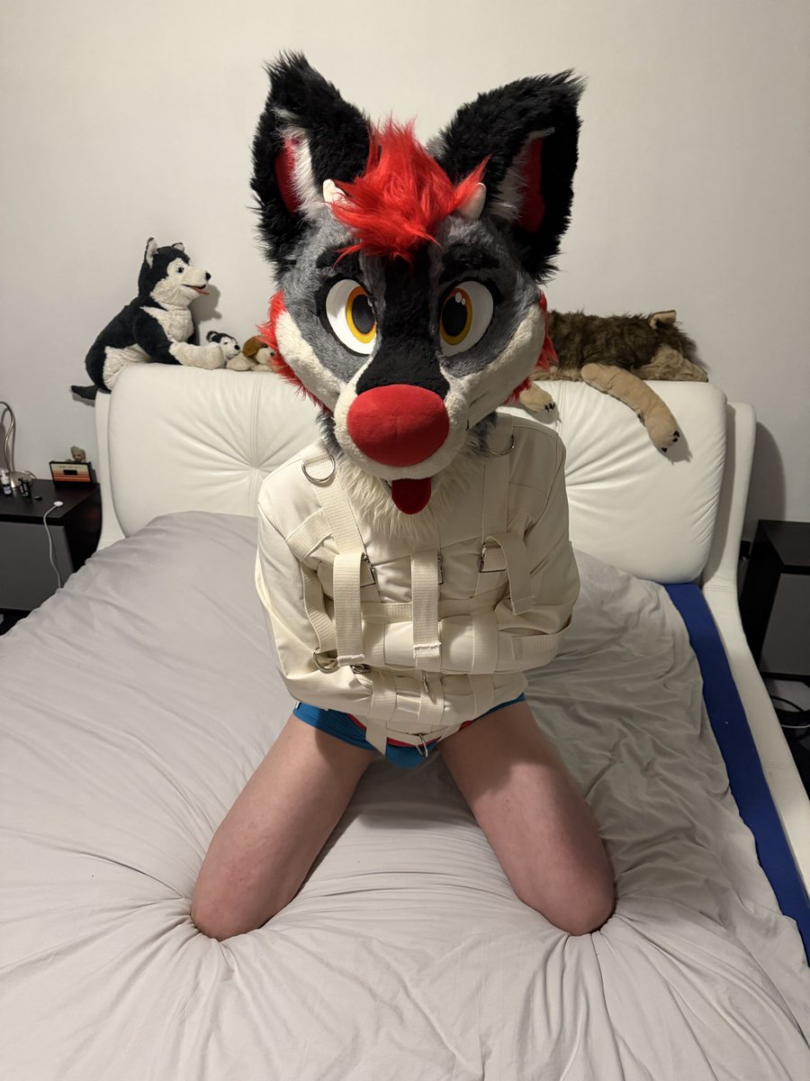 TaikuADee's tweet photo. We’re opening a new mental hospital for crazy fluffbutts. First inmates are already accommodated 🥵🙈 w/ @Jackal_Sh_AD

Happy #FursuitFriday, #MurrsuitFriday, and #StraitjacketFriday! ❤️ https://t.co/DWRIcS4XWw