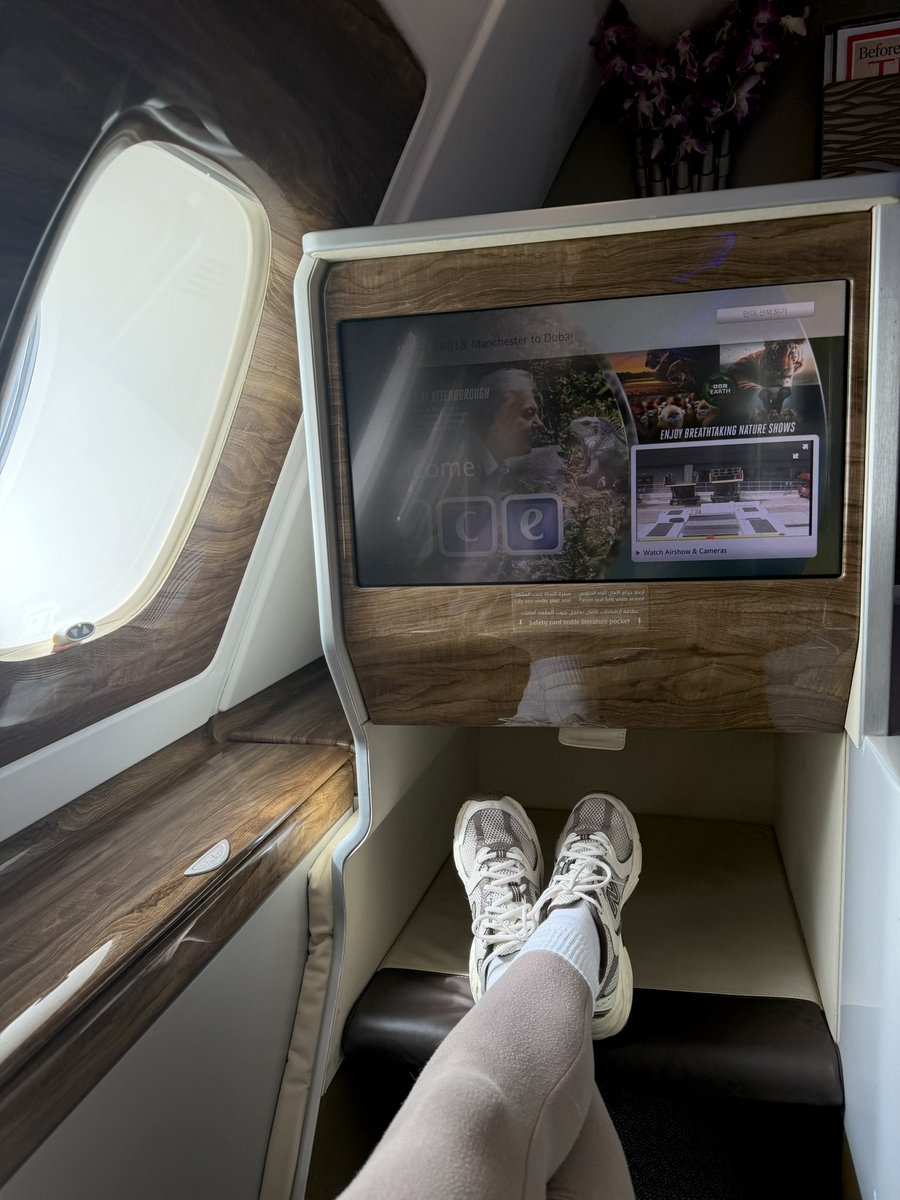 sofia tweet media