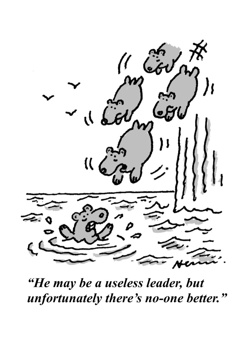 NckNwmntoons tweet media