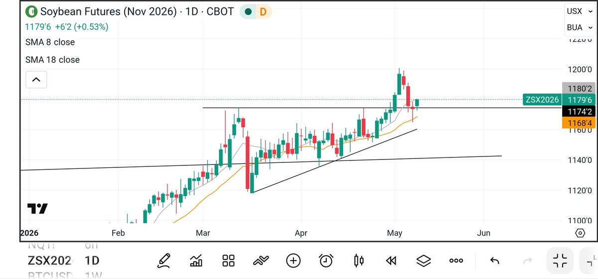 calycekr's tweet photo. @factor_members $ZS_F Soybeans Nov. Foot-shot and recompletion? https://t.co/KqDMNYhMut