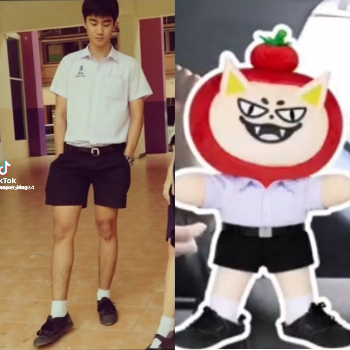 BrIgHtWiNFoReV6's tweet photo. พูดถึงการแต่งตัวของฟ้อก

จู : ก็เหมือนพ่อมันอ่ะ พ่อมันก็ใส่แบบนี้ 😂

มาร์ค : ฟ้อกเป็นงี้เลย (ชี้ฟอส)

ฟอส : เค้าเรียกว่า สั้นเสมอ ถุงเท้าข้อสั้น เหยียบส้น

// เป็นตุวจี๊ดของรุ่นทั้งพ่อทั้งลูกเลย 555555555

TNFBJM X 3STARKIDS
#กินกันกับเตนิวSpecialEP23
#ฟอสบุ๊ค https://t.co/V2HUJ9vAKA