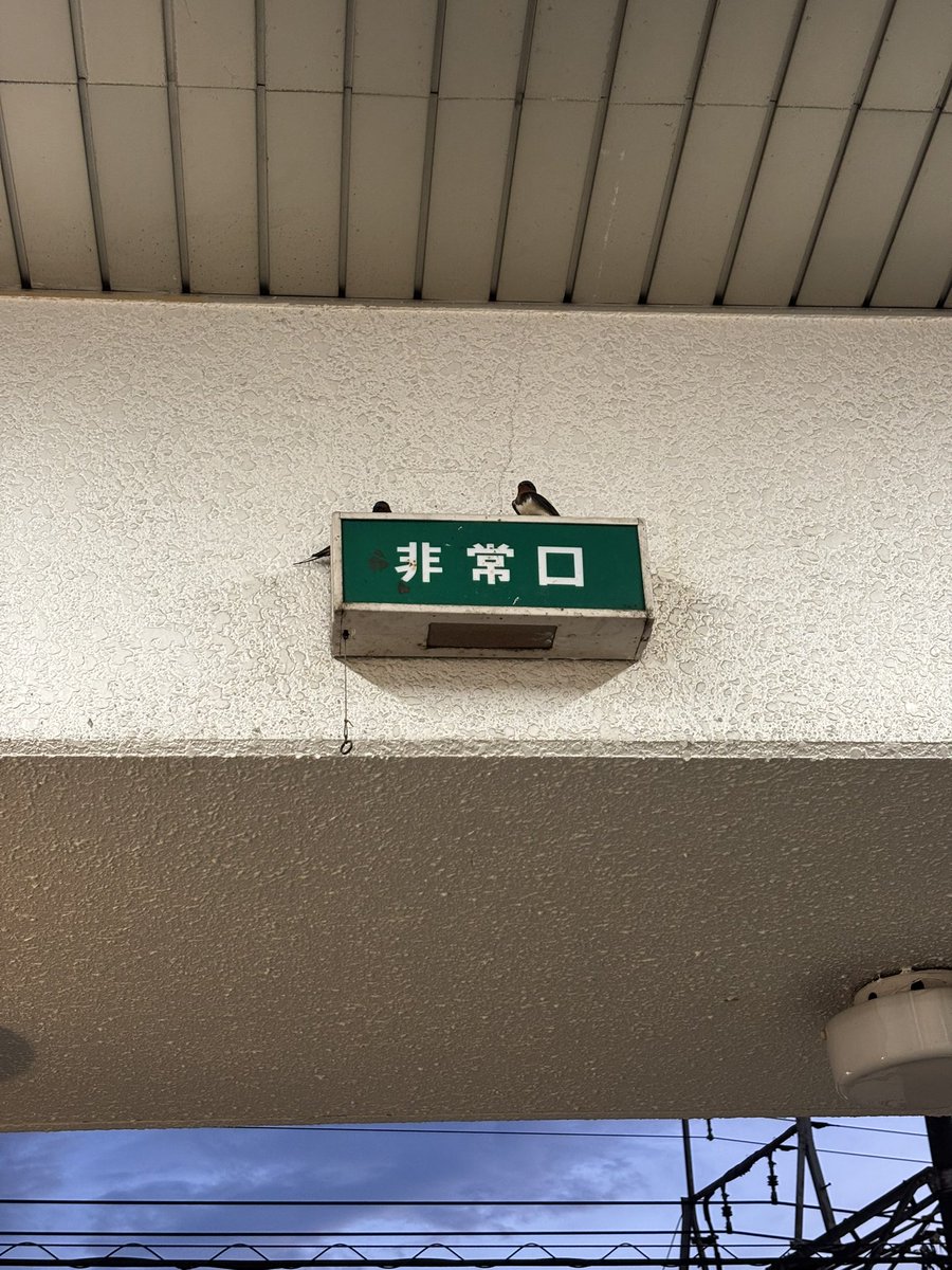 2sauna2's tweet photo. 今日の〼
サ室の出入りが少ないと本当熱いね https://t.co/OWWf2XkNm8