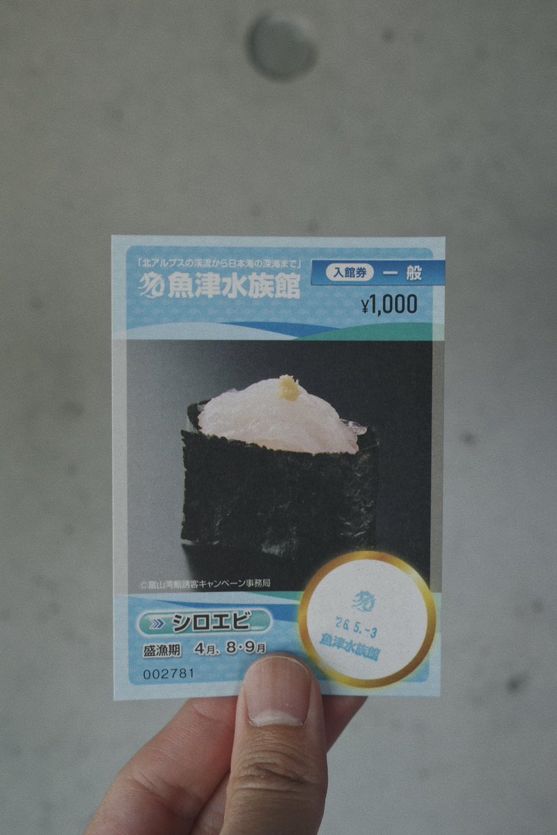 日野 tweet media