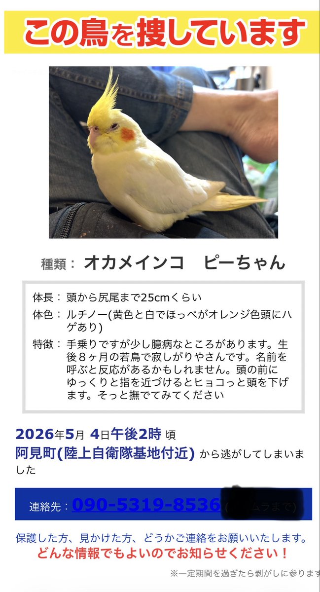 まっくろくろすけ tweet media