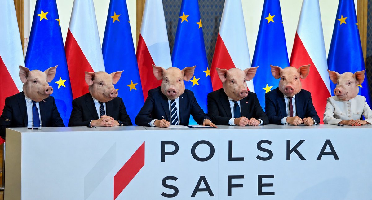 Bartosz Bocheńczak tweet media