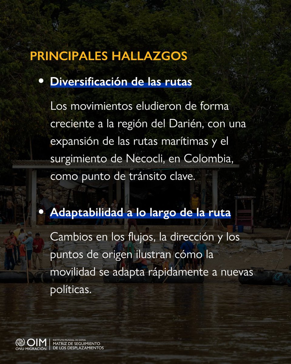 OIM Latinoamérica y el Caribe 🇺🇳 tweet media