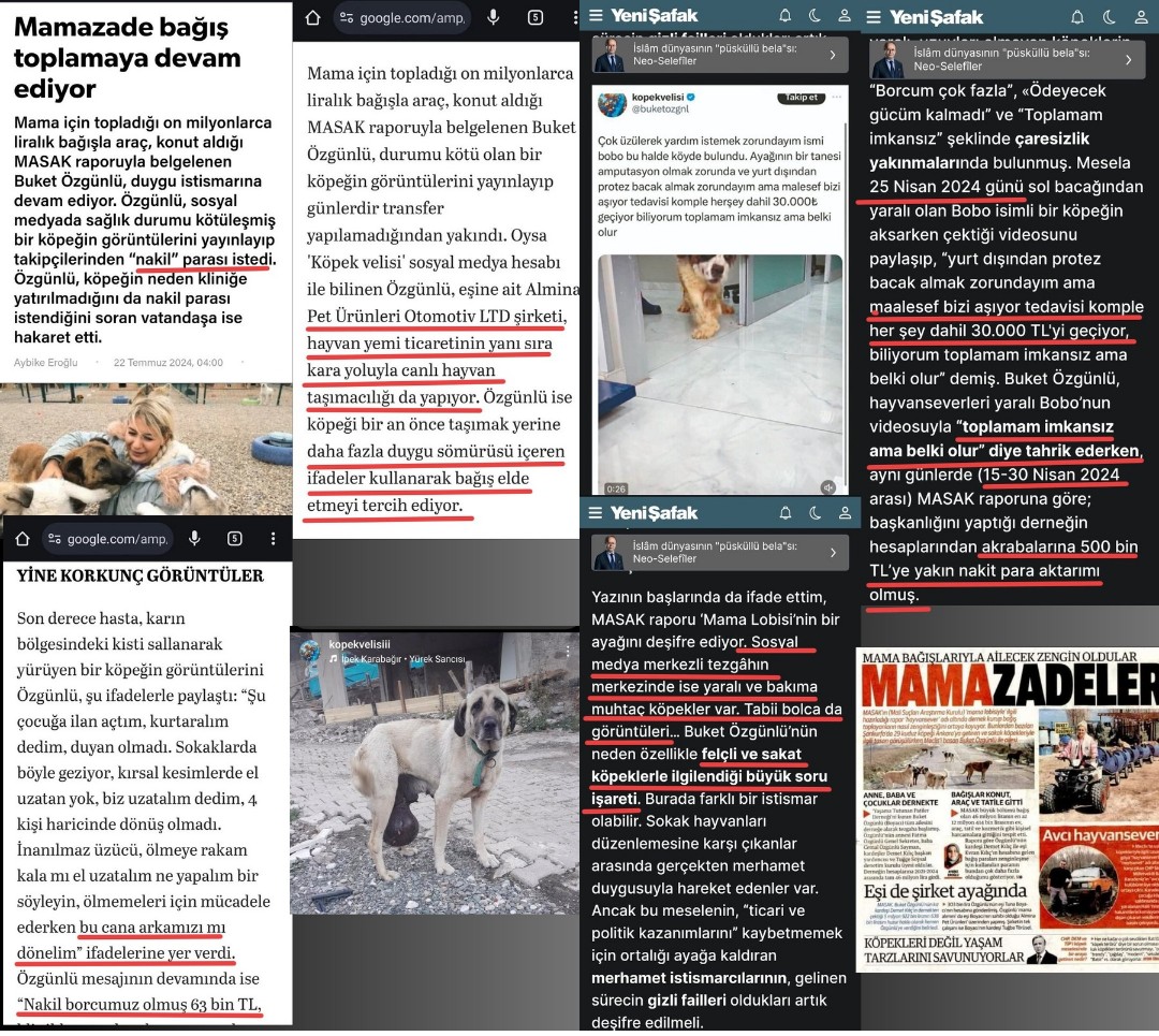 Pamuk Prenses tweet media
