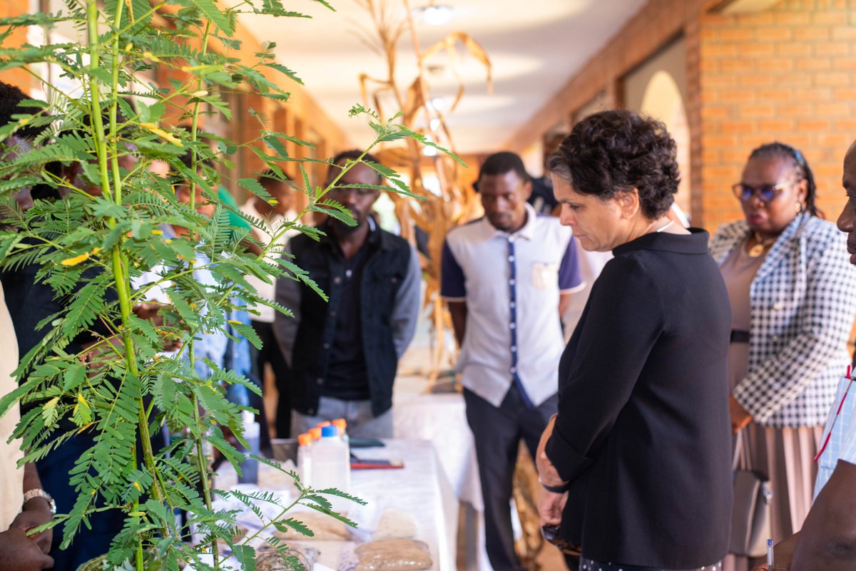 Luanarofficial's tweet photo. The Royal Norwegian Embassy visited LUANAR Bunda Campus for the 5th #FoodMa Annual Meeting (7 May 2026), celebrating 5 years of NOK 48M investment in Malawi's food systems coordinated with Norwegian University of Life Sciences.
Research. Infrastructure. Impact.
#LUANAR #Malawi #SustainableFoodSystems