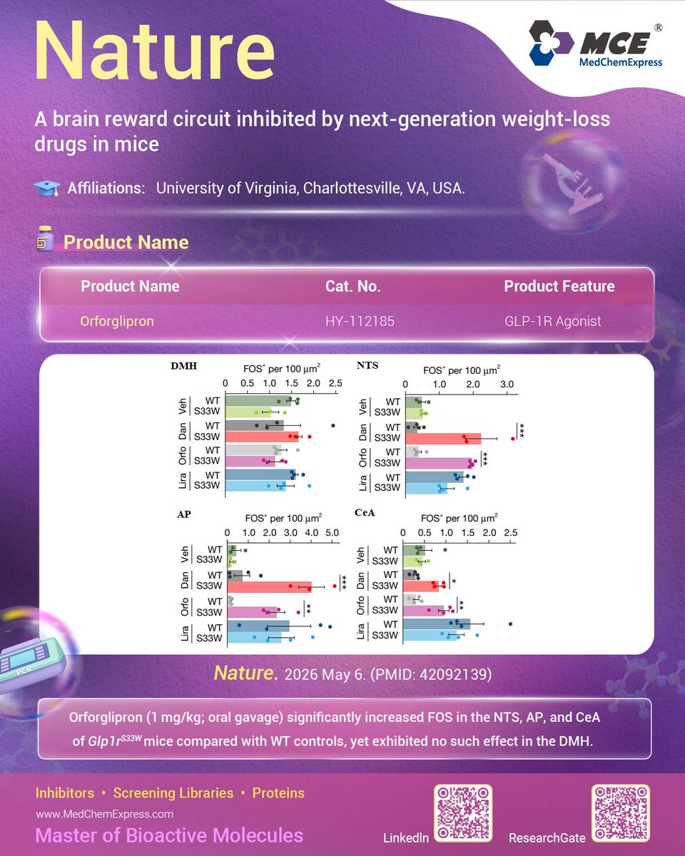 MedChemExpress's tweet photo. 🚀From Bench to Paper | Neural Circuit Behind Oral Weight-Loss Drugs Revealed
A new study reveals a mechanistic breakthrough for oral small-molecule #GLP1 receptor agonists (#GLP1RAs). Using humanized mouse models, researchers show these compounds regulate both homeostatic feeding (energy balance) and hedonic feeding (reward-driven eating) 🍽️

Beyond classical metabolic pathways, GLP1RAs activate a distinct neuronal population in the central amygdala, which suppresses palatable food intake by reducing dopamine release in the nucleus accumbens.
  • Activating this circuit reduces hedonic feeding 🍰
  • Receptor deletion weakens reward-driven effects ⚖️
  • Defines a brain pathway linking appetite and reward 🧠

These findings clarify how oral GLP1RAs modulate eating behavior, with implications for binge eating and potentially addiction-related disorders. Read more: https://t.co/t6UxHpOv6C

🔬MedChemExpress offers #Orforglipron to support this research. https://t.co/Z6J3CCaIpf

#Obesity #Neuroscience #MetabolicDisease #DrugDiscovery #BingeEating #MedChemExpress
