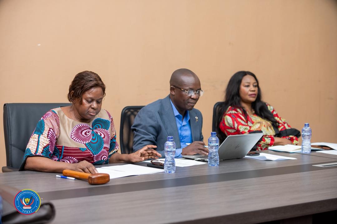 Sénat RDC🇨🇩 tweet media
