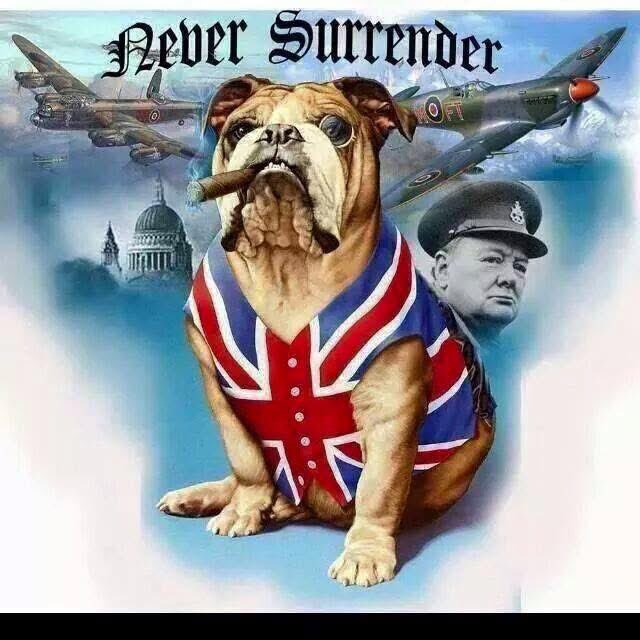 JimDuncombe's tweet photo. V.E Day... 

Remembering the greatest of victories on 8th May 1945... &amp; especially those that paid the ultimate sacrifice to make victory possible!!

"God Bless You All" https://t.co/Iisi6F57EN