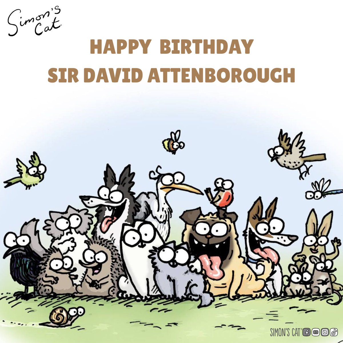 Sir David Attenborough turns 100 today 🎉💯 A champion for planet earth, guiding us through jungles, oceans and other wonders of our planet. 🌍 #HappyBirthdayDavidAttenborough