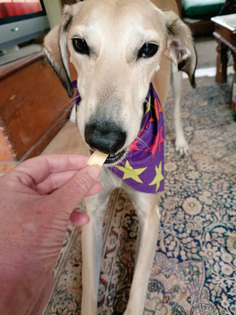 Gary I've gotcha +🌈benny boyo tweet media