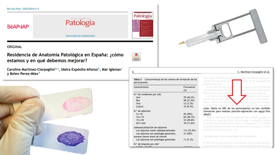 Eduardo Alcaraz, MD PhD tweet media