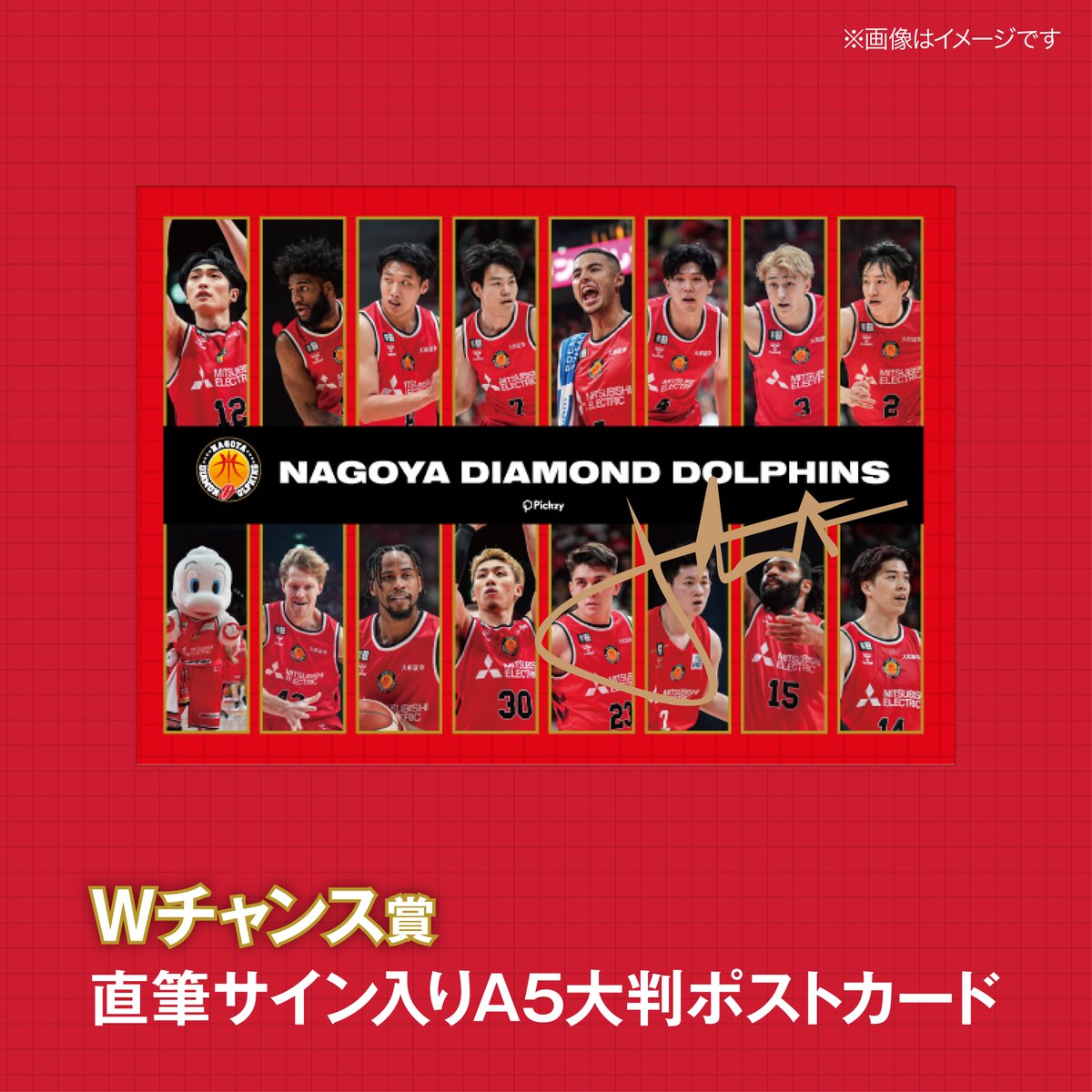 ✨更にデザイン公開✨／ 🏀 #名古屋ダイヤモンドドルフィンズ