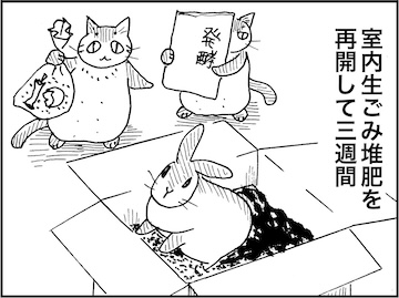 海月 (@kaige2) / Posts / X