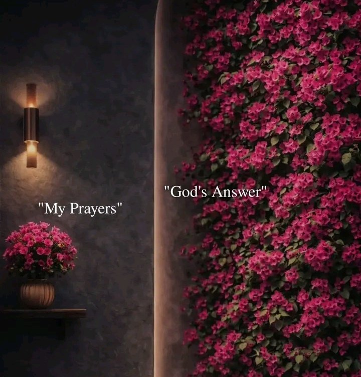 Faith tweet media