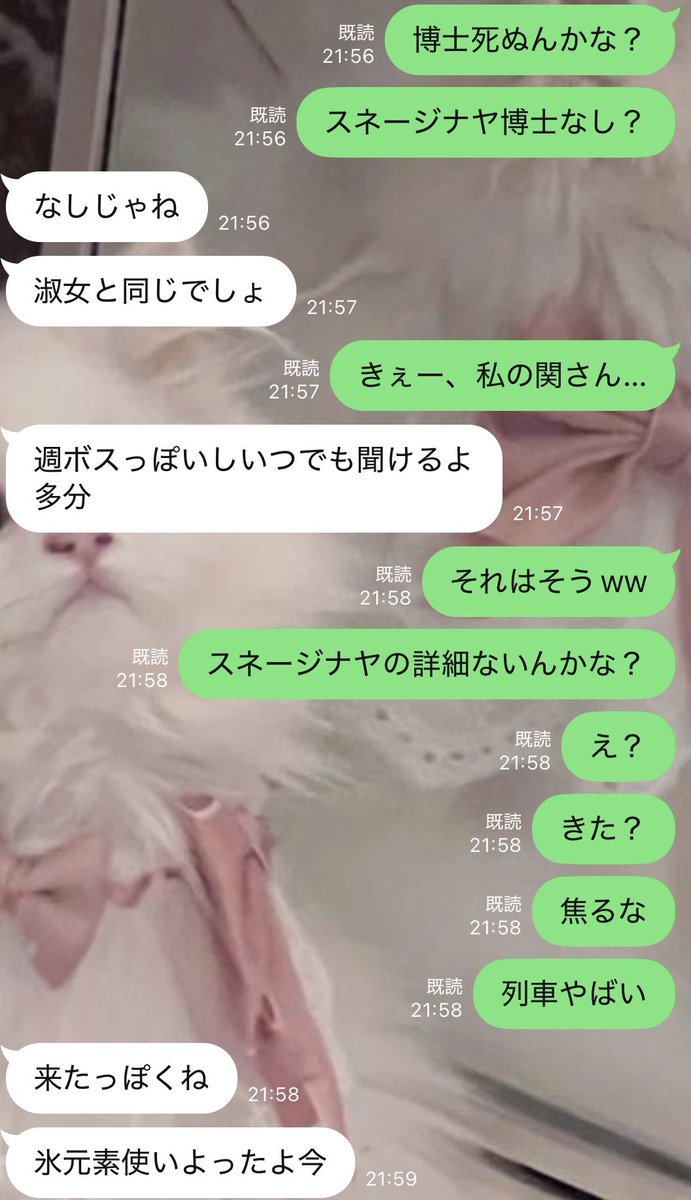 𝙢𝙞𝙮𝙪𝙪🐈⬛🎀 tweet media