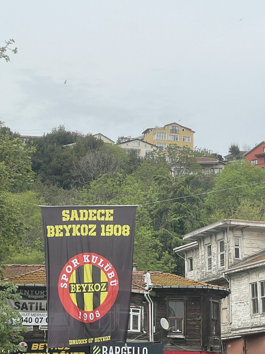 BOĞAZINYARGICI tweet media