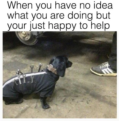 WholesomeMemes tweet media