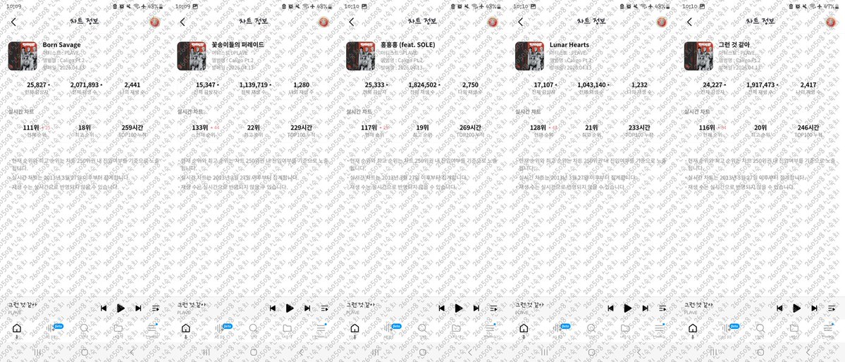 신숙희 tweet media