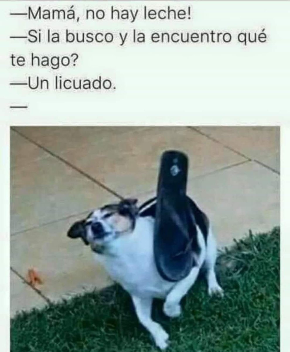 El Meme (@memessv7) on Twitter photo 