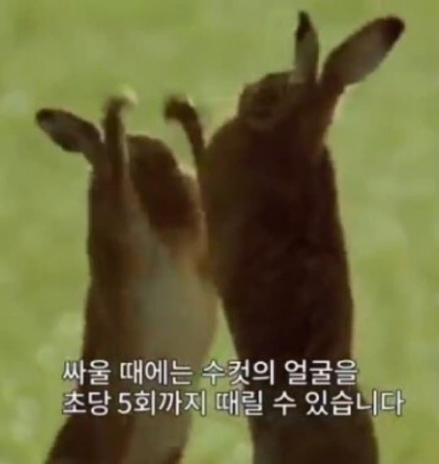 무루 tweet media