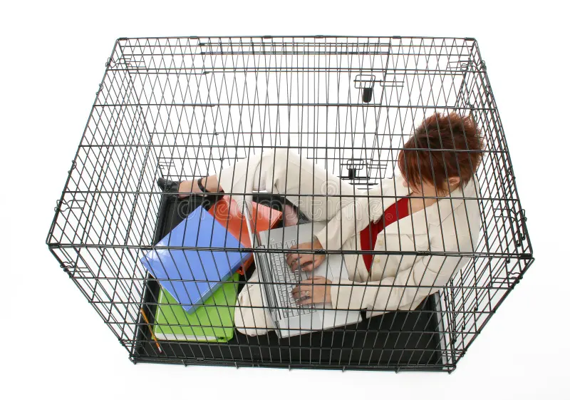 razormisspelled's tweet photo. Staying in this cage until Razor is in a brand collab event (with new artworks) https://t.co/OhXDrIpU54